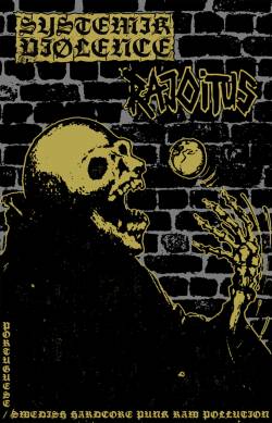 Systemik Viølence : Portuguese-Swedish Hardcore Punk Raw Pollution